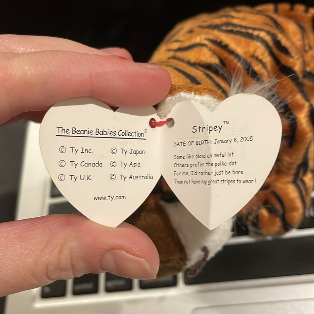 2005 Stripey beanie baby - Picture 3 of 5